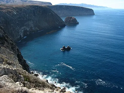 The view from the bluff at Cavern Point down the sea cliffs to the kelp beds in the channel, with Anacapa and the Santa Cruz coast on the horizon