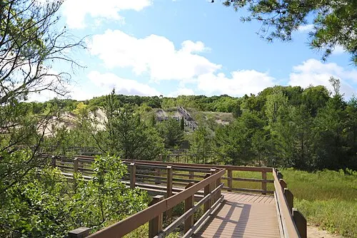 A section of the Dunes Succession Trail boardwalk crossing the open sand and pioneer vegetation of the West Beach blowouts