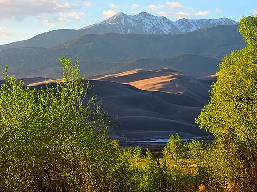 The view from the Montville Nature Trail across the lit dune faces to the snow-streaked Sangre de Cristo, with cottonwoods in the foreground