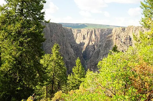 The view straight down into the Black Canyon gorge from the Oak Flat Trail, framed by Engelmann spruce in the foreground