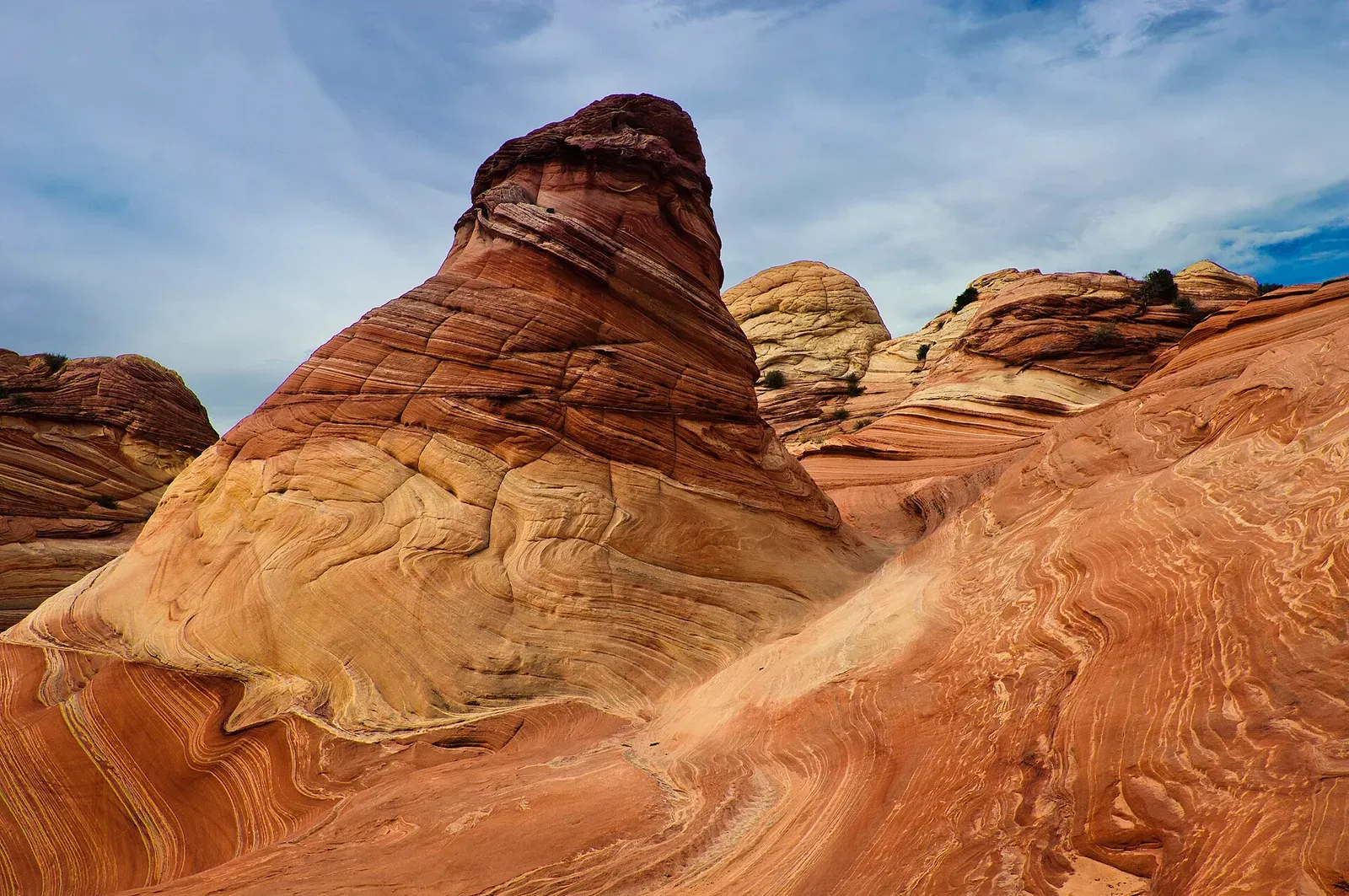 Banded sandstone at The Wave: curved cream, orange and red layers sweeping down into a shallow bowl of bare rock.