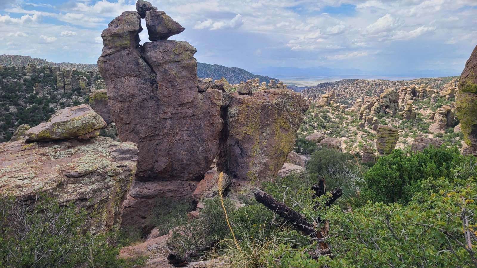Rhyolite hoodoos and stone pinnacles below Massai Point in Chiricahua National Park