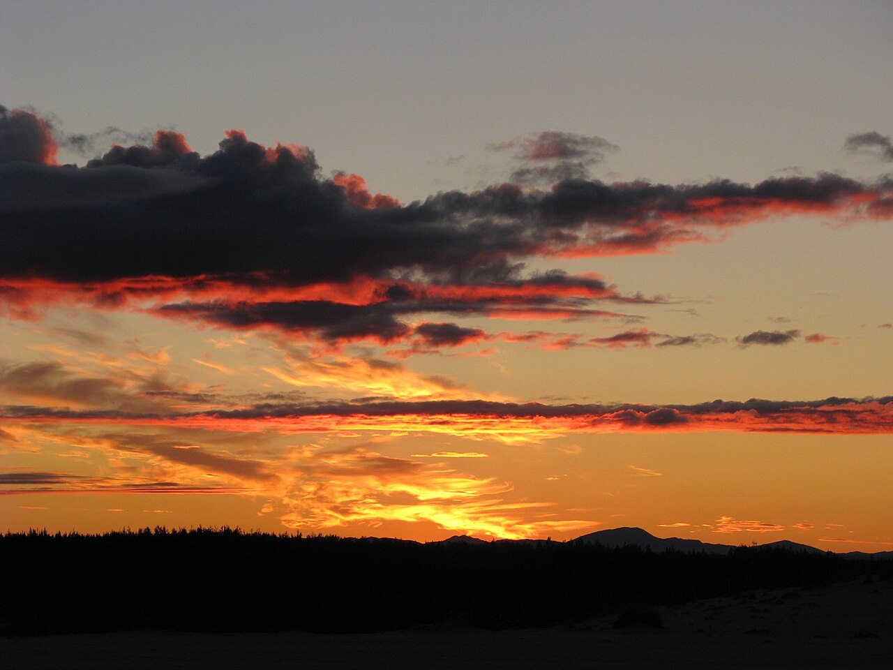 Low sunlight raking across the ripples of the Great Kobuk Sand Dunes at sunset