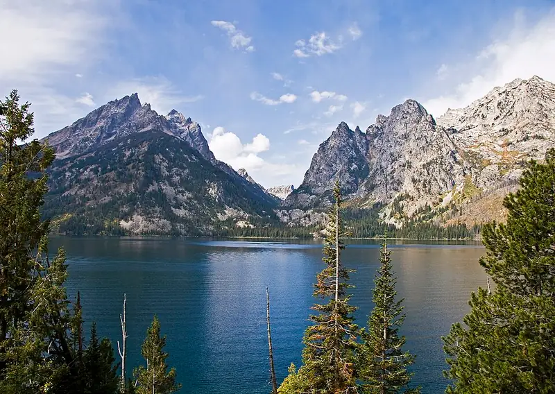 Deep blue Jenny Lake seen through lodgepole pines, with the notch of Cascade Canyon splitting the granite peaks behind it.