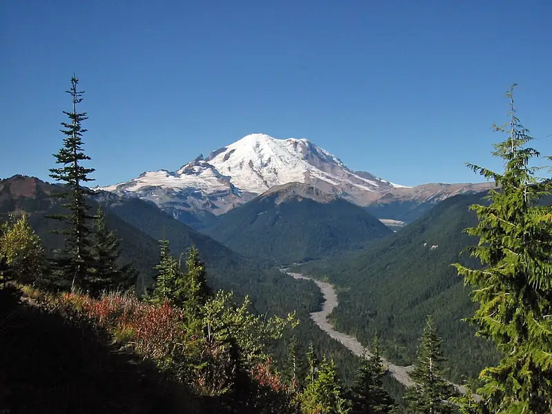 A wide view of Mount Rainier's glacier-covered summit under a blue sky, with forested valleys in front.