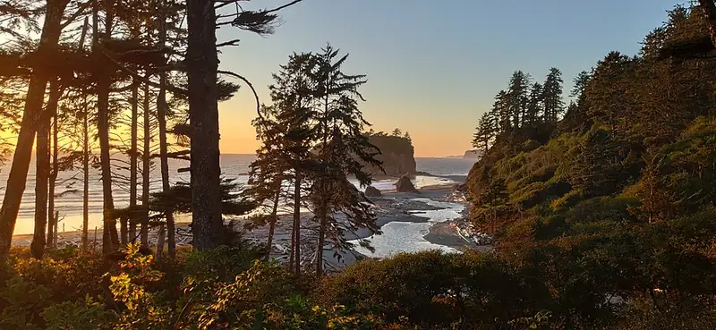 Sea stacks and driftwood at Ruby Beach on the Olympic coast at sunset.