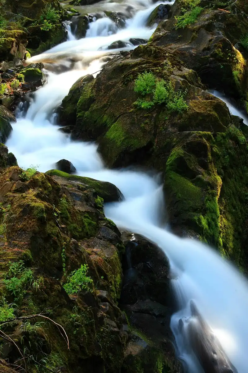 Three-channel Sol Duc Falls dropping into a rock gorge in old-growth forest.