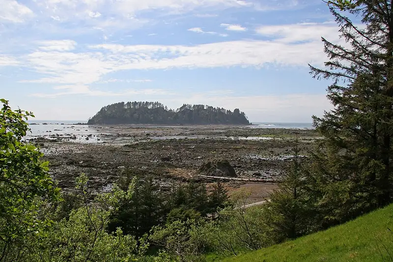 Sea stacks and the rocky shore at Cape Alava on the Olympic coast.
