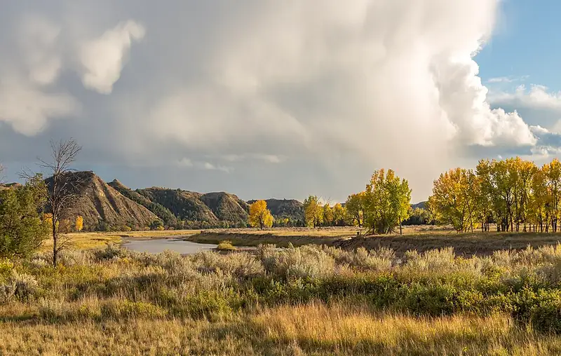 The Little Missouri River curving through cottonwood river bottom below badlands walls in Theodore Roosevelt National Park.