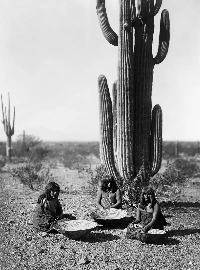 Three seated women with woven baskets in front of a large saguaro cactus in a historic photograph.