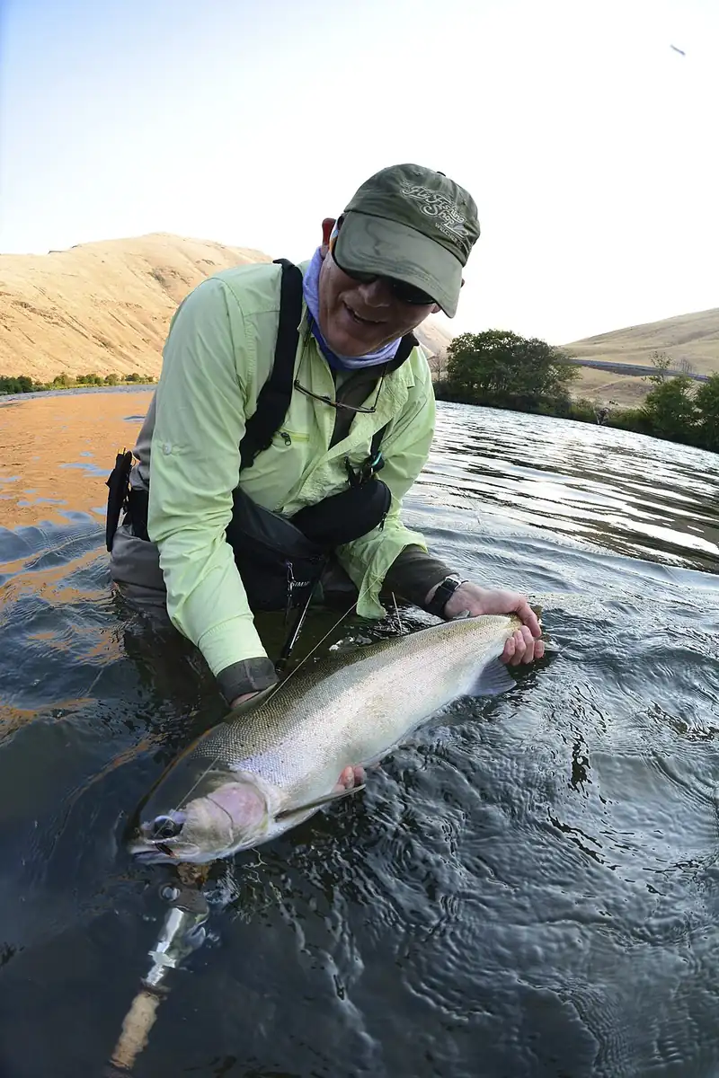 An adult steelhead trout held above a river, showing its silvery sides and pink stripe.
